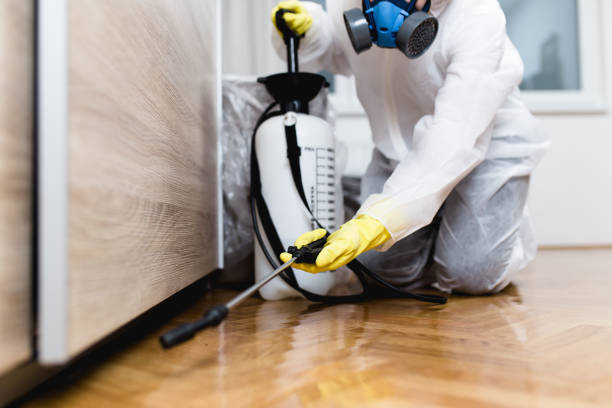 Best Residential Pest Control  in Carterville, MO