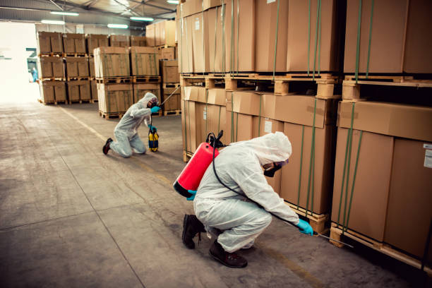 Best Pest Control for Businesses  in Carterville, MO