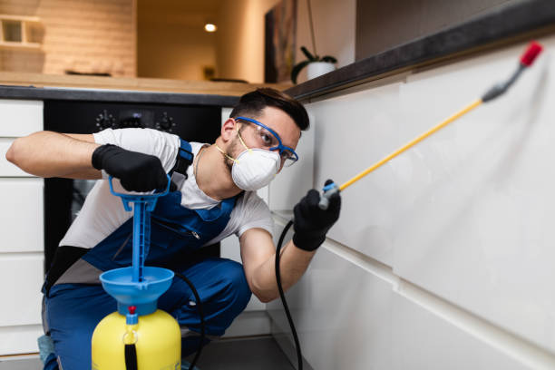 Best Pest Inspection Near Me  in Carterville, MO