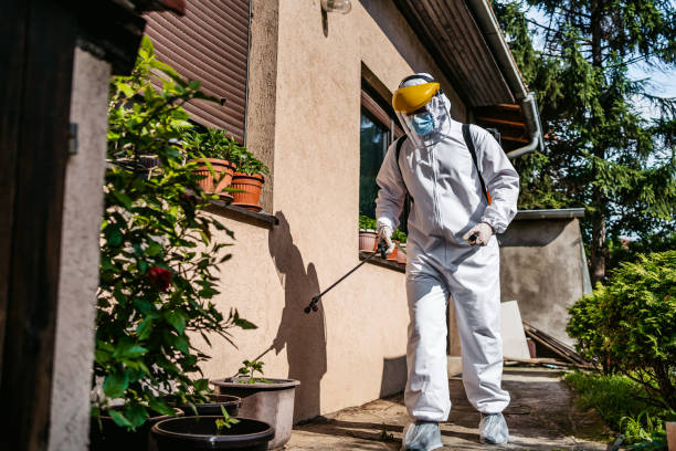 Best Insect Control  in Carterville, MO