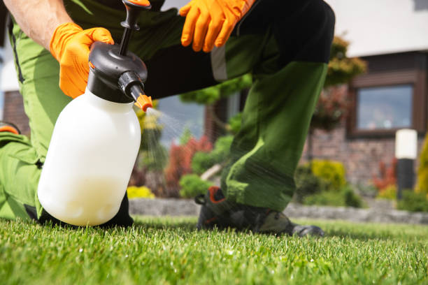 Best Pest Control for Restaurants  in Carterville, MO