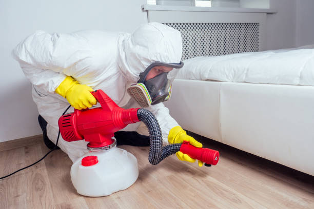 Best Wasp Removal Services  in Carterville, MO
