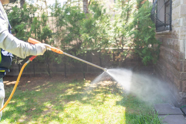 Professional Pest Control in Carterville, MO