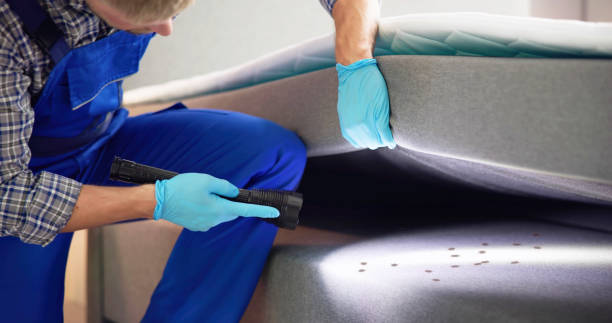 Best Affordable Pest Control Services  in Carterville, MO