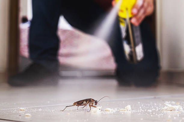 Best Affordable Pest Control Services  in Carterville, MO