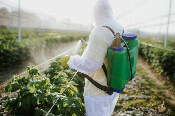 Pest Control for Restaurants in Carterville, MO